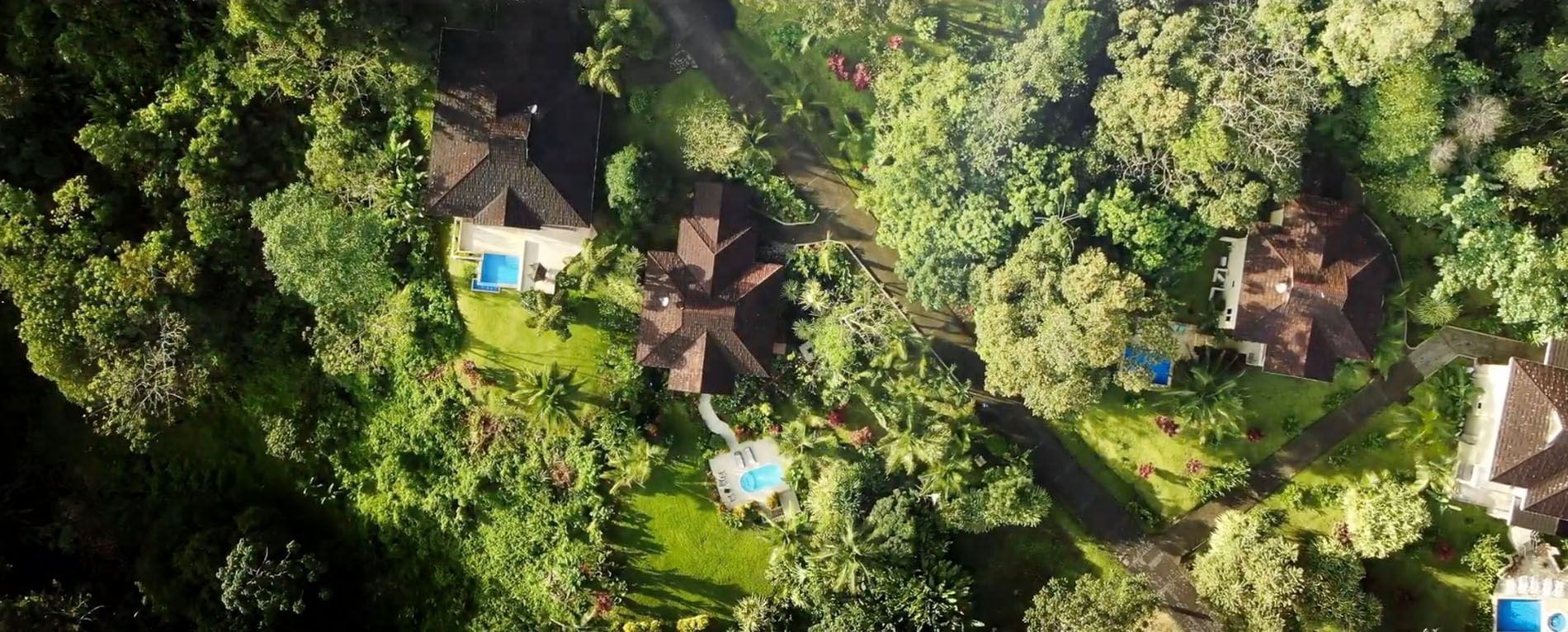 An aerial view of a house in the middle of a forest.