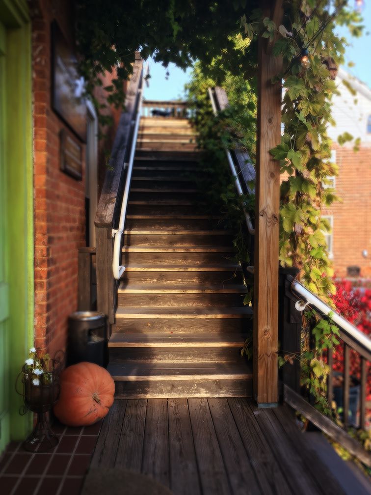Wooden stairs lead up between a brick building and a vine-covered support post, with a large pumpkin at the base.