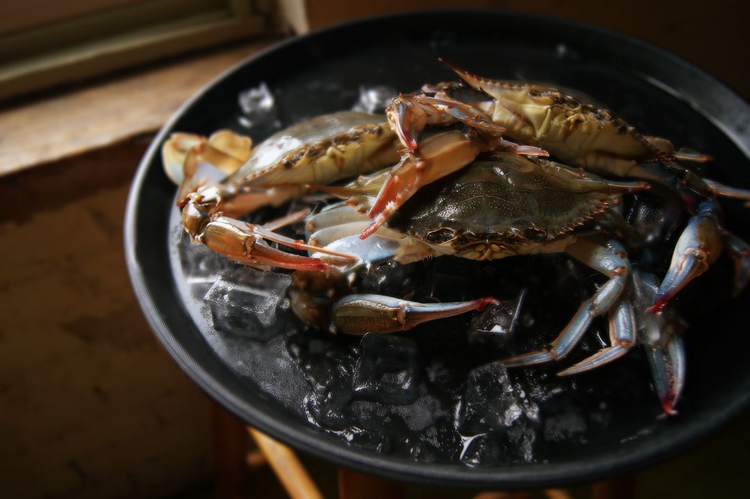Several raw blue crabs arranged on a bed of ice cubes in a black circular serving tray.