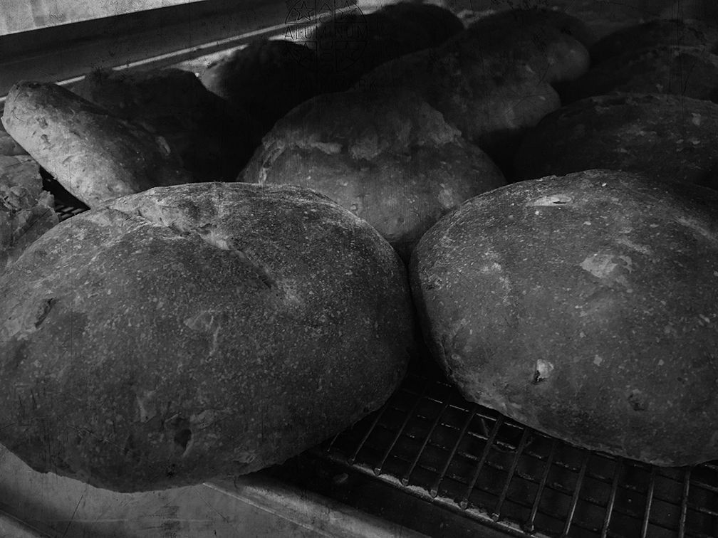 Several round, dark, crusty loaves of freshly baked bread sit on a metal cooling rack.