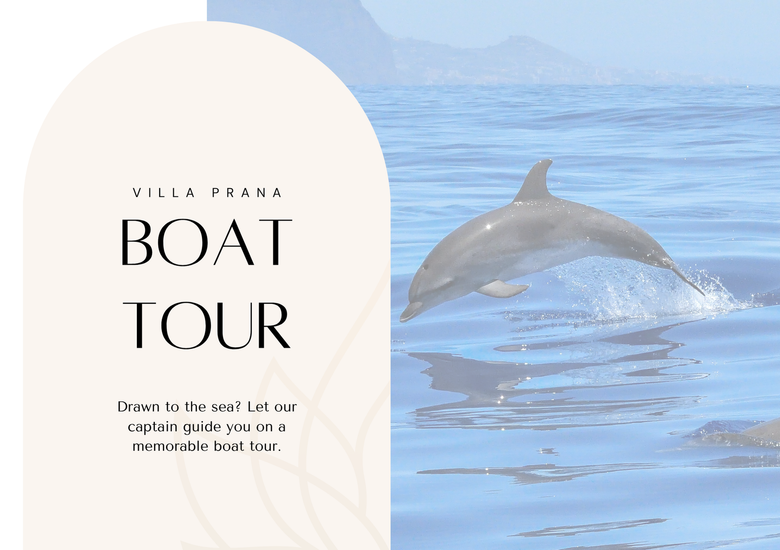 A dolphin leaps out of the ocean. Text on the left side reads 