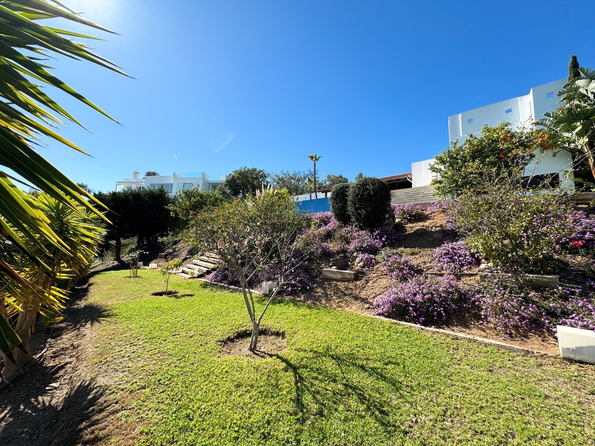 A sunny garden with green grass, flowering bushes, and white buildings on a hillside under a clear blue sky.