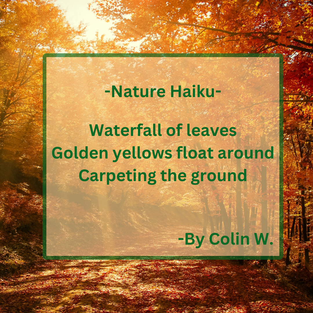 a nature haiku written by colin w.