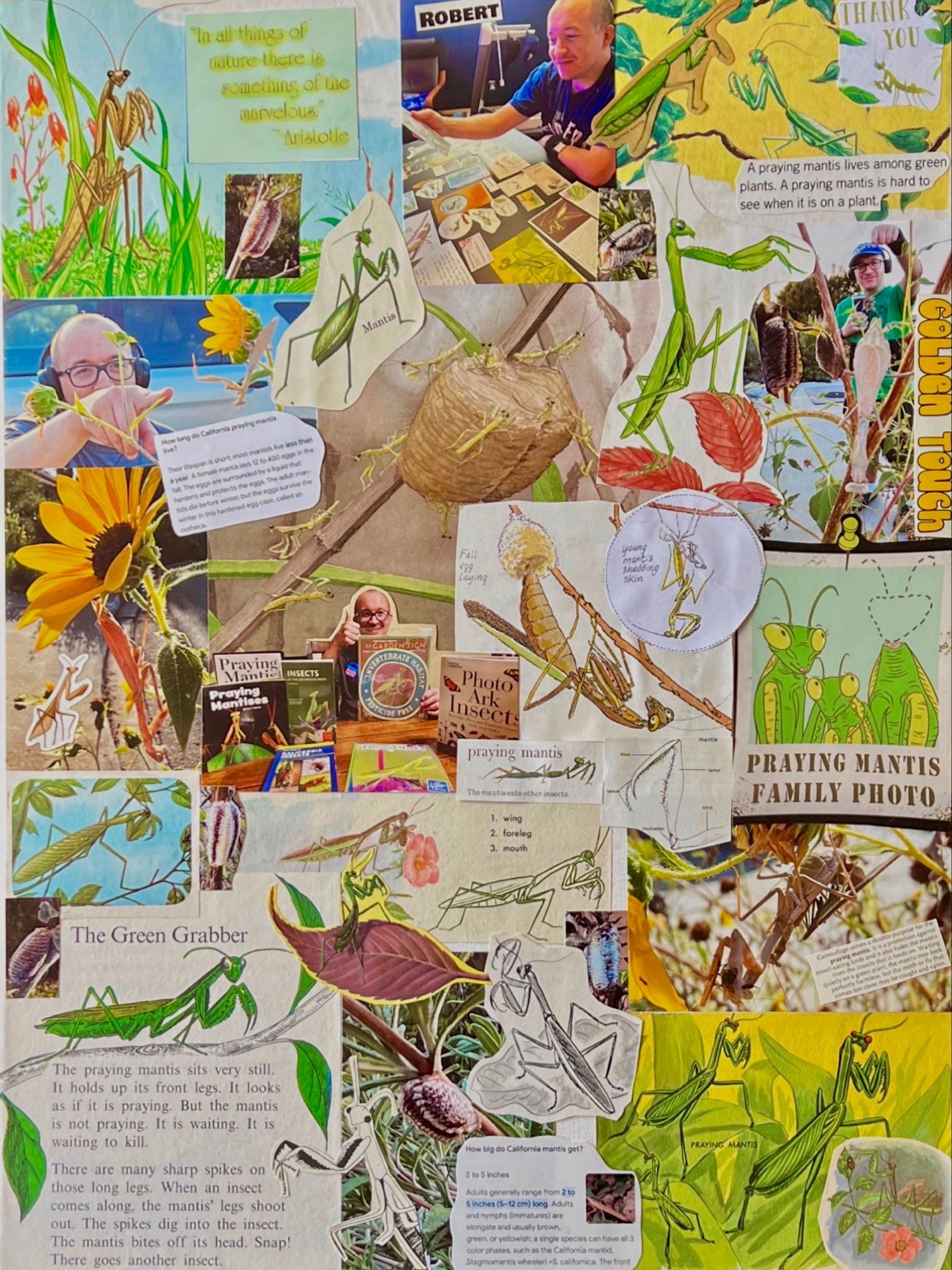 a collage of pictures with one that says ' valley ' on it