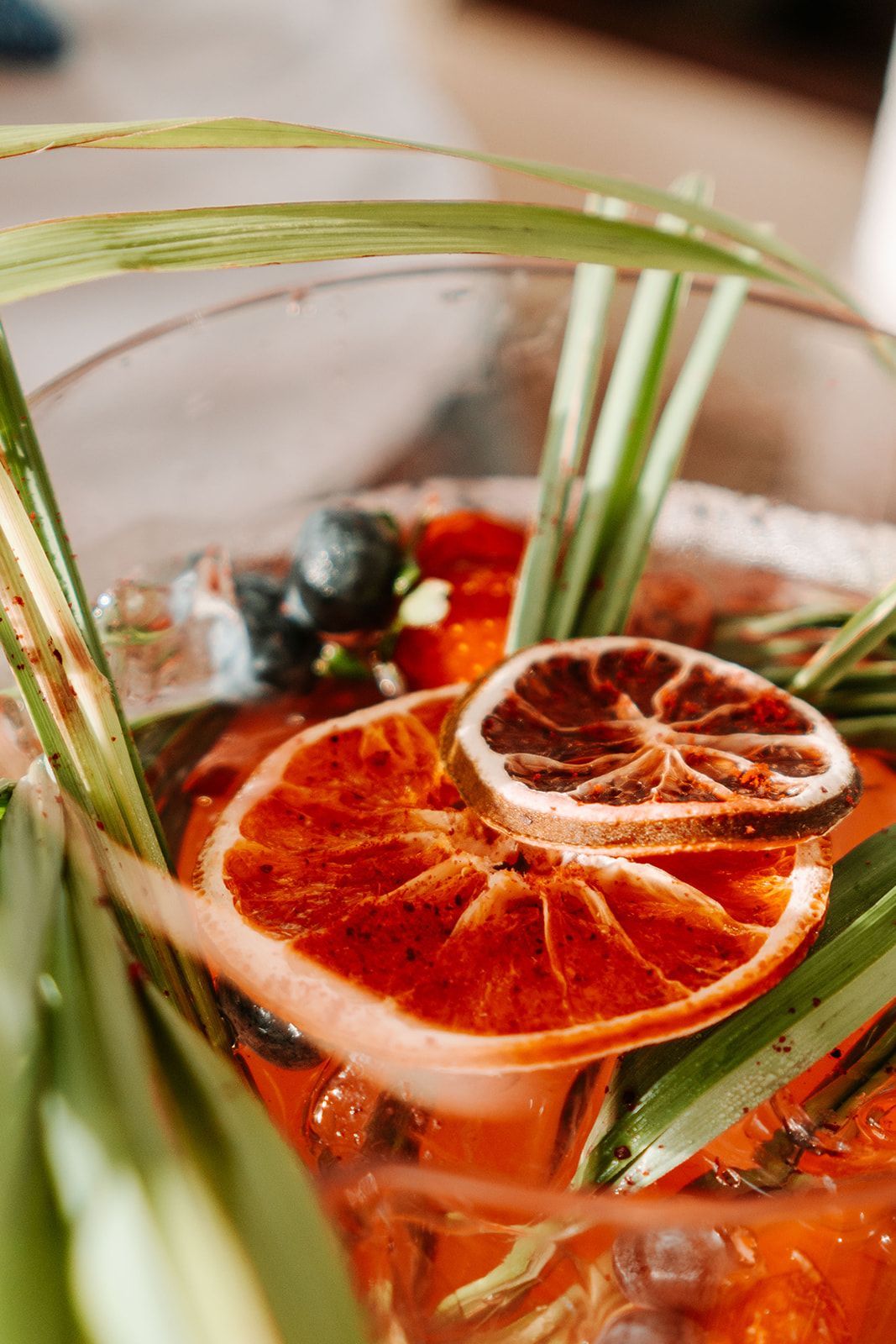 Saltwater Eco Tours, Mooloolaba Cultural Bushtucker Cruise, Didgeridoo, Native Food Experience