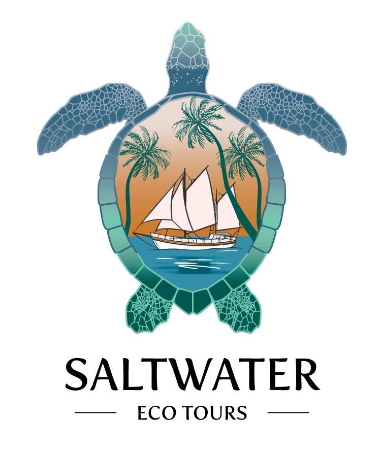 saltwater eco tours reviews