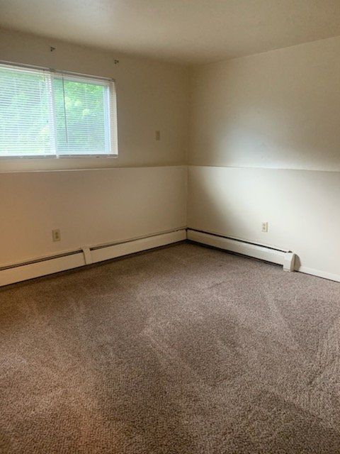 Carpeted room with window