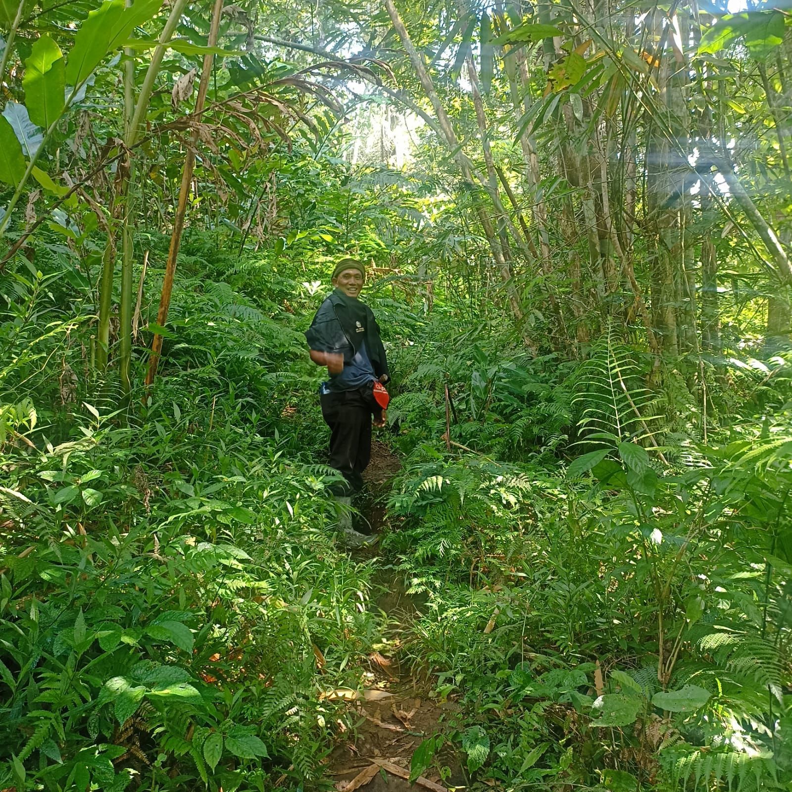 jungle trekking