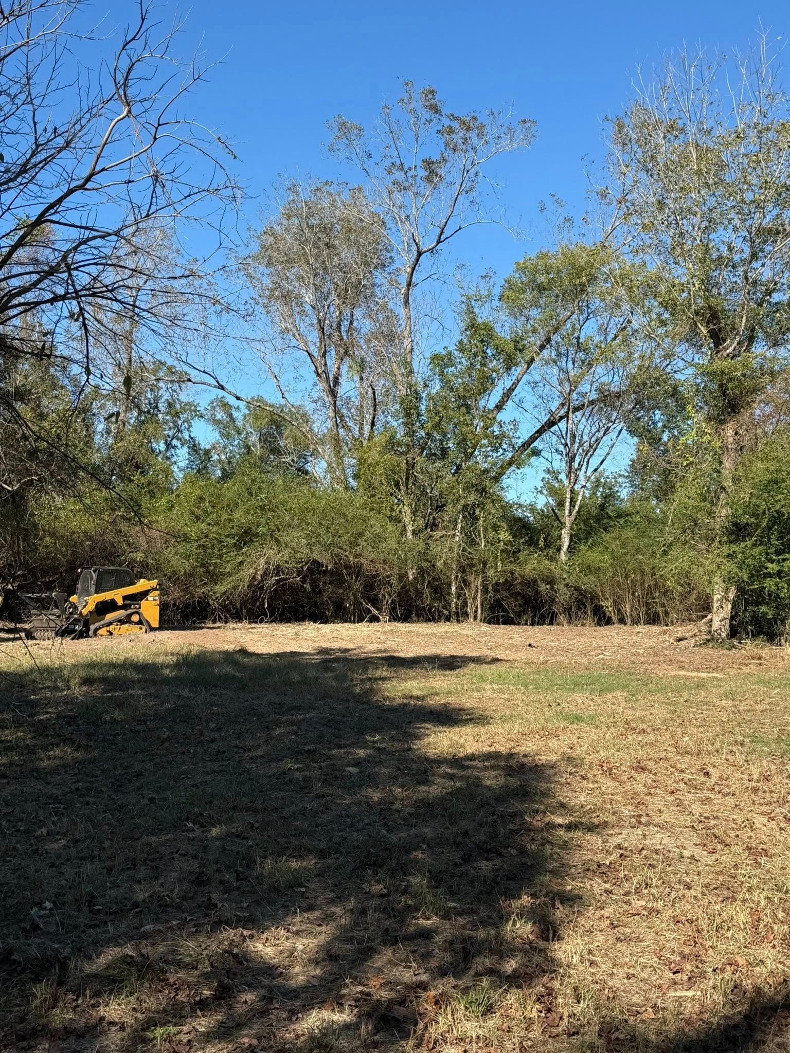 Orange skid steer tractor operating on a dirt hillside, flanked by green evergreen trees.
