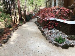A gravel path leads toward a house with a wooden deck and a small Japanese maple tree with red leaves.