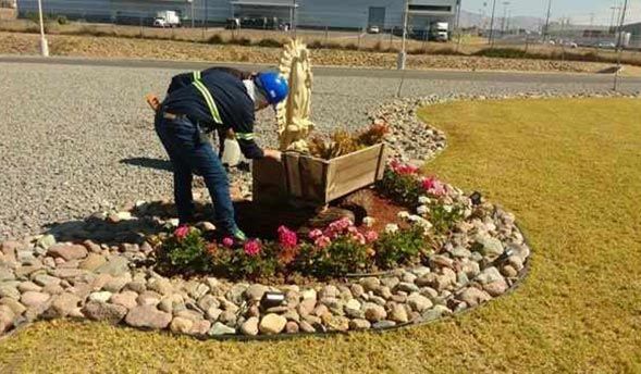 ALBERTO´S JARDINEROS