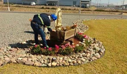 ALBERTO´S JARDINEROS