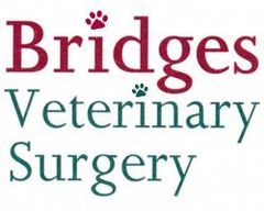 Bridges Veterinary Surgery logo