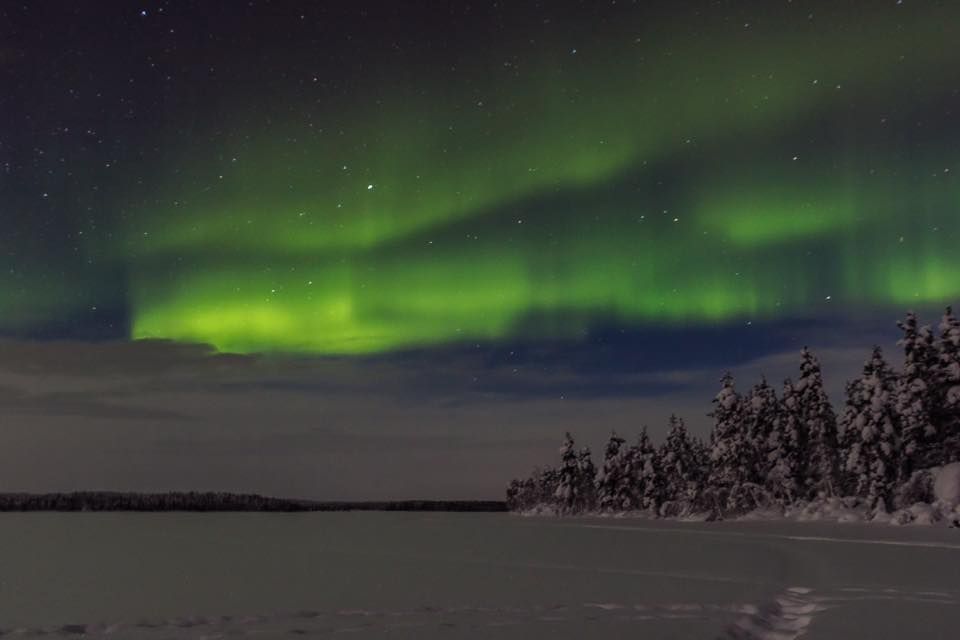 Explore the beautiful white landscapes with a team of sled dogs stop for a delicious meal