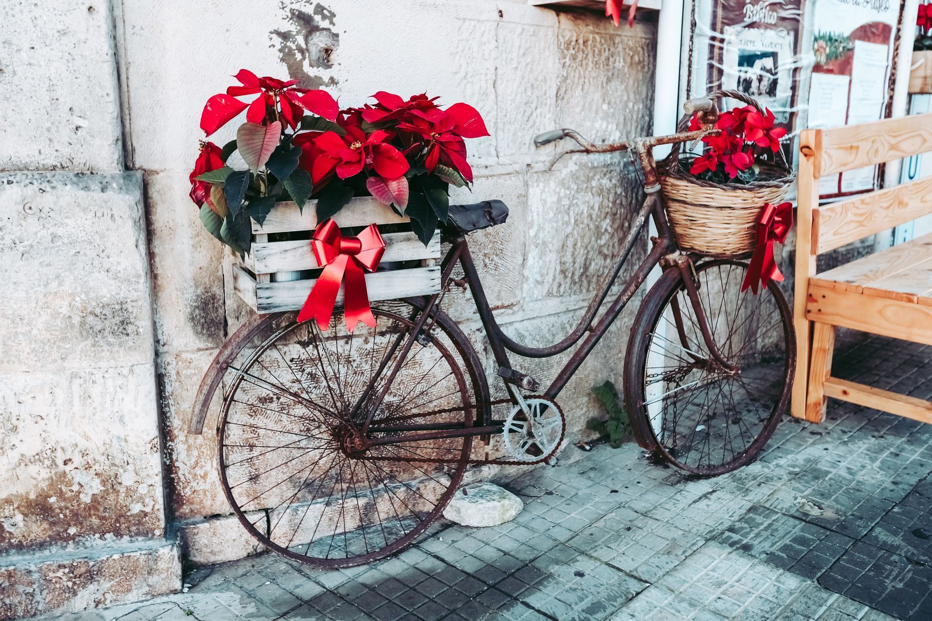 A beautiful bike adorned with red flowers parked in front of a picturesque white building in the charming city of Ostuni, Italy. The colorful flowers add a pop of color to the already picturesque scene, showcasing the city's vibrant local culture and charm.
