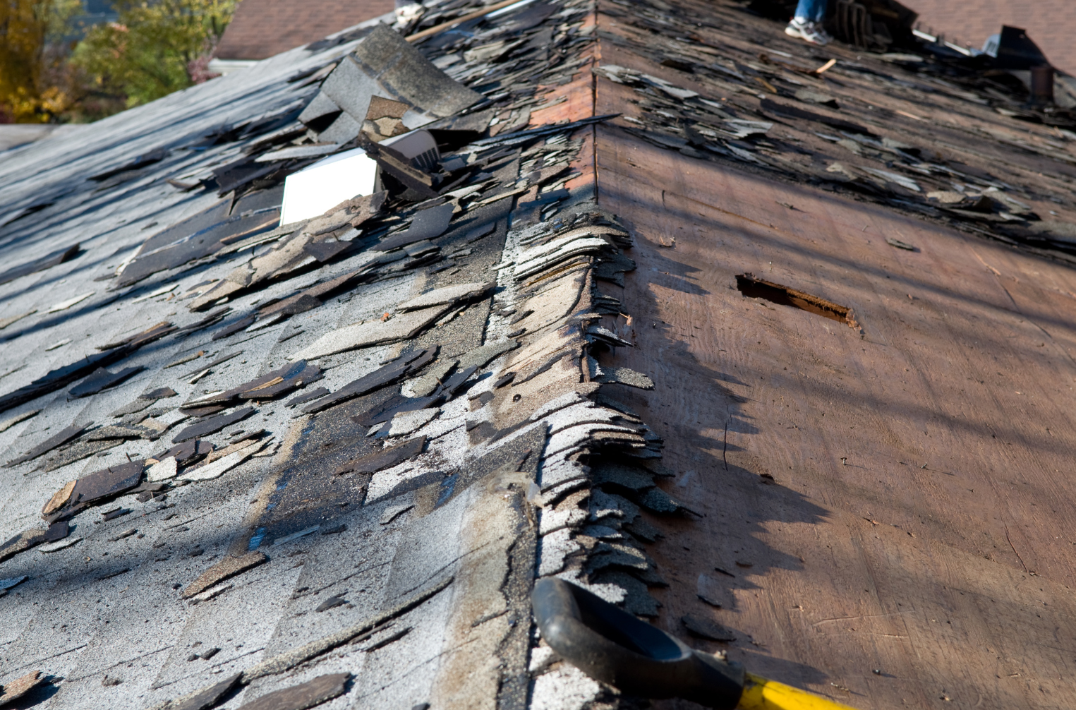 roofing companies Cape Coral