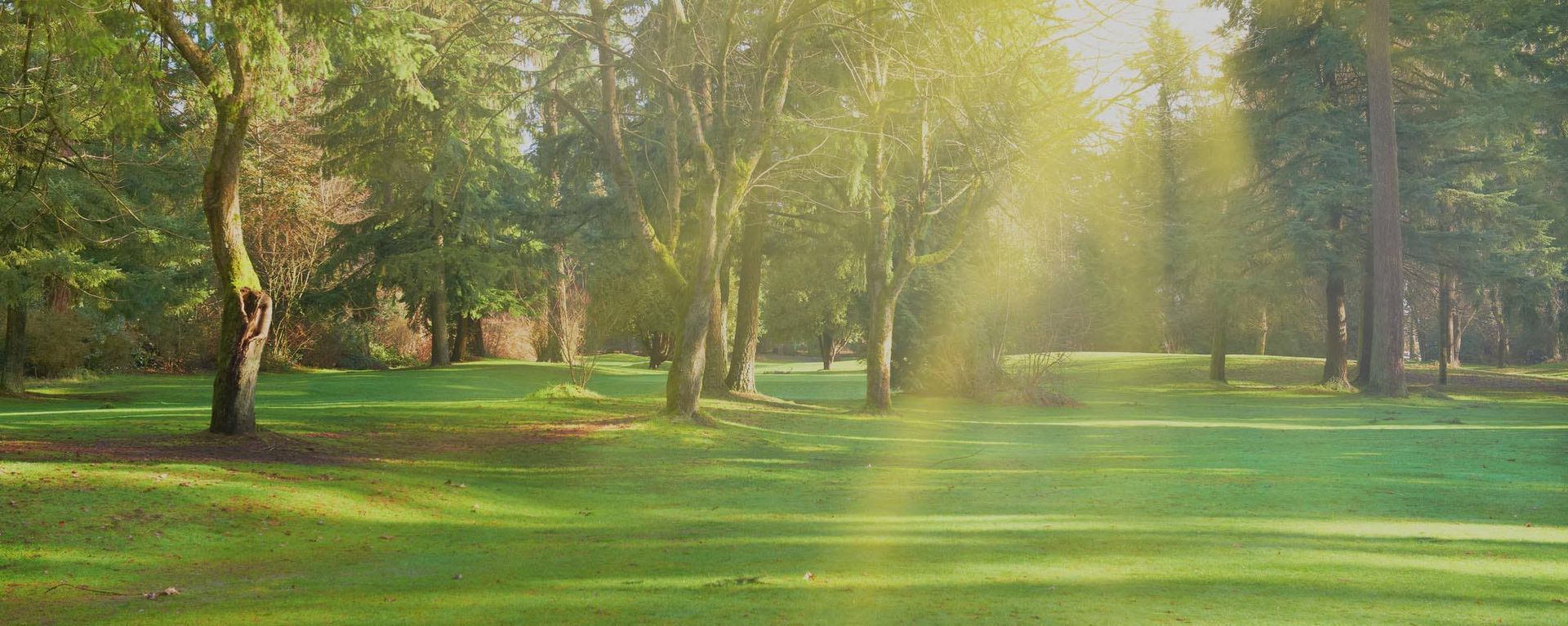 War graves in a cemetery with headstones along a path, under a cloudy sunset. Custom Monuments Maker Cumberland RI