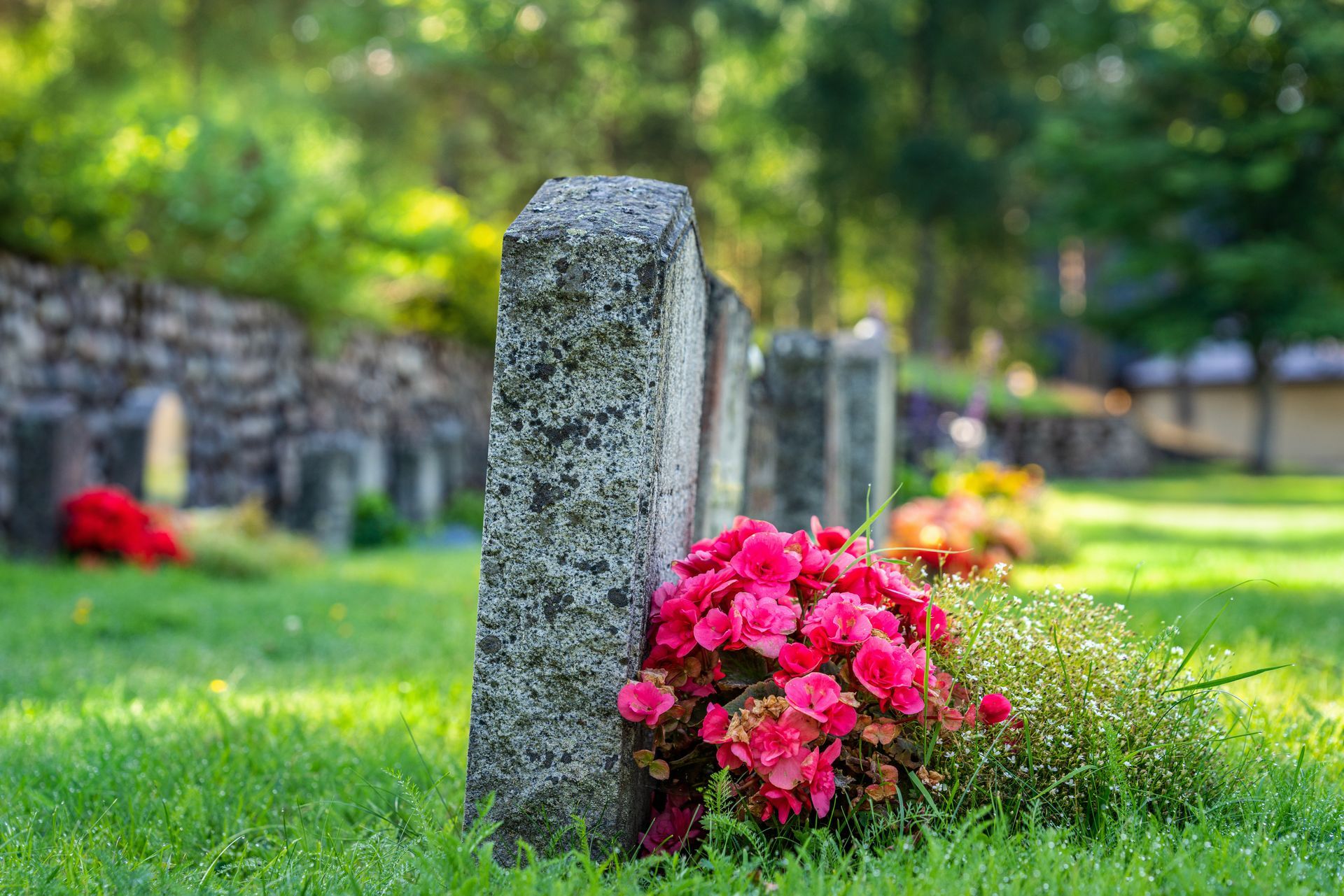 Grave with a pinkish granite headstone and base; flowers in pots sit around it, set in a grassy cemetery. Grave with a pinkish granite headstone and base; flowers in pots sit around it, set in a grassy cemetery.