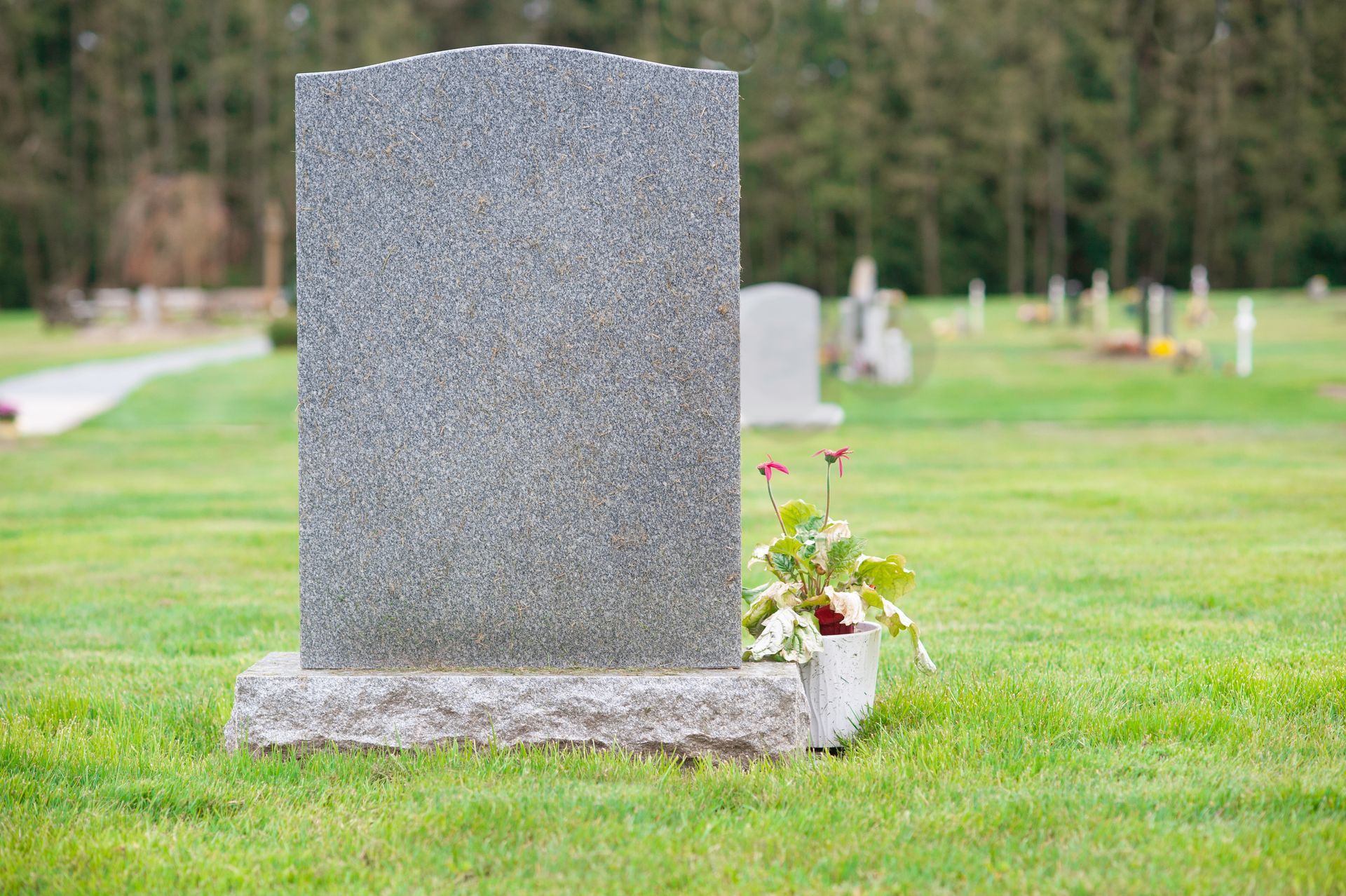 Blank gray gravestone in a grassy cemetery, with flowers at the base; trees in the background. Blank gray gravestone in a grassy cemetery, with flowers at the base; trees in the background.