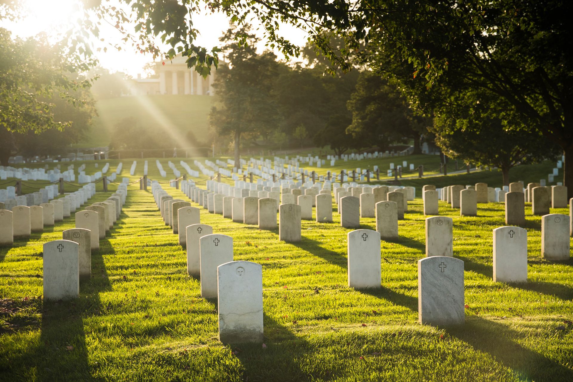 Rows of white headstones in a sunny cemetery.