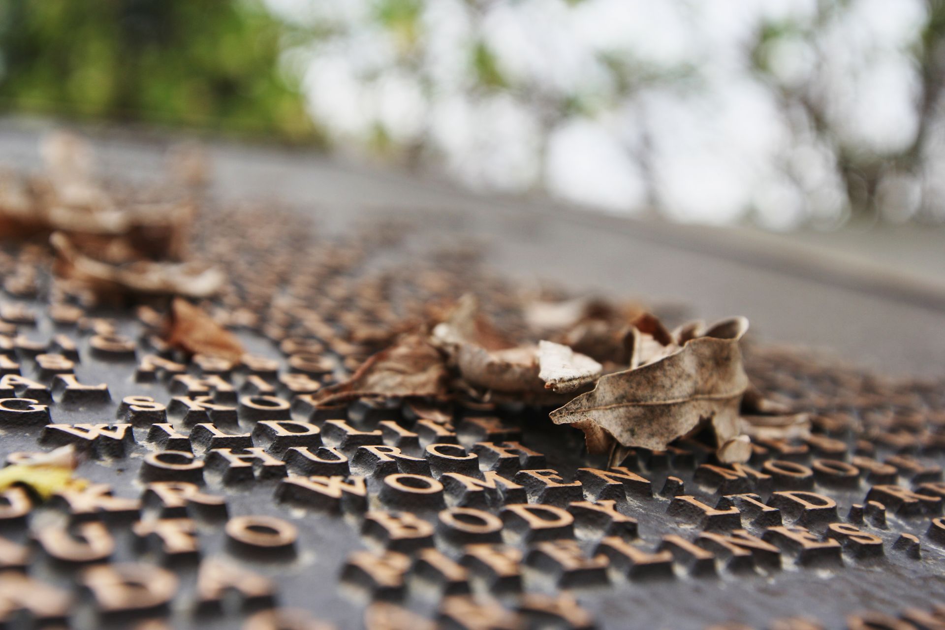 Bronze text on a plaque with fallen leaves. Blurred background of trees.