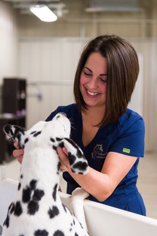 TimberCreek Veterinary Hospital - Manhattan, KS | Veterinarian | Boarding |  Equine Stables