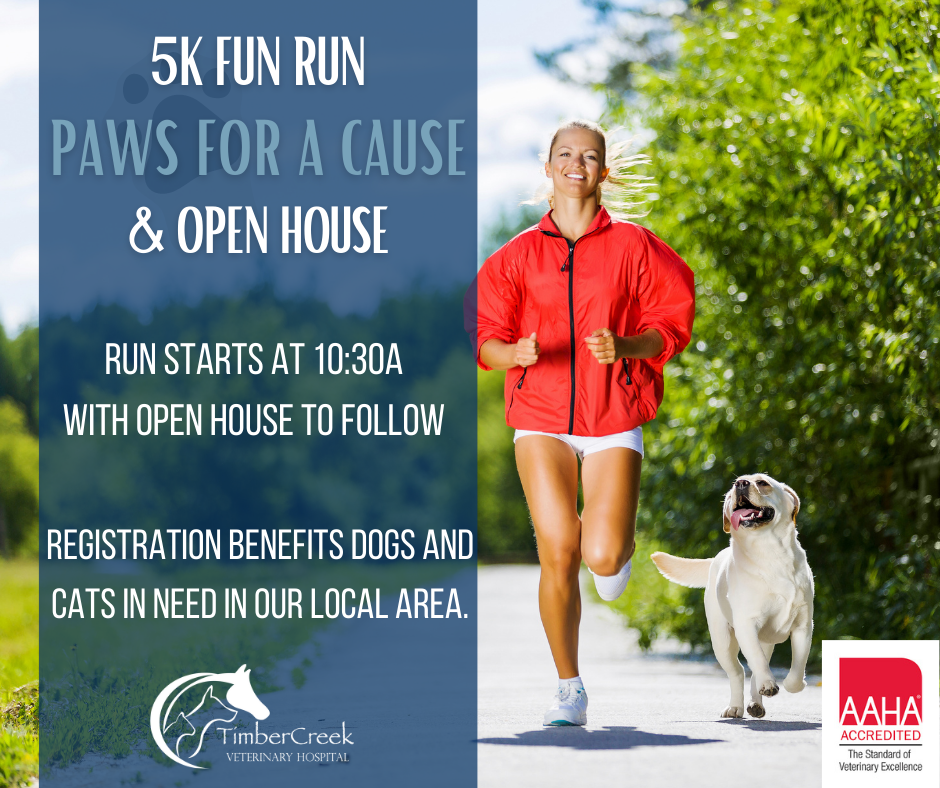 TimberCreek Veterinary Hospital Manhattan, KS Veterinarian