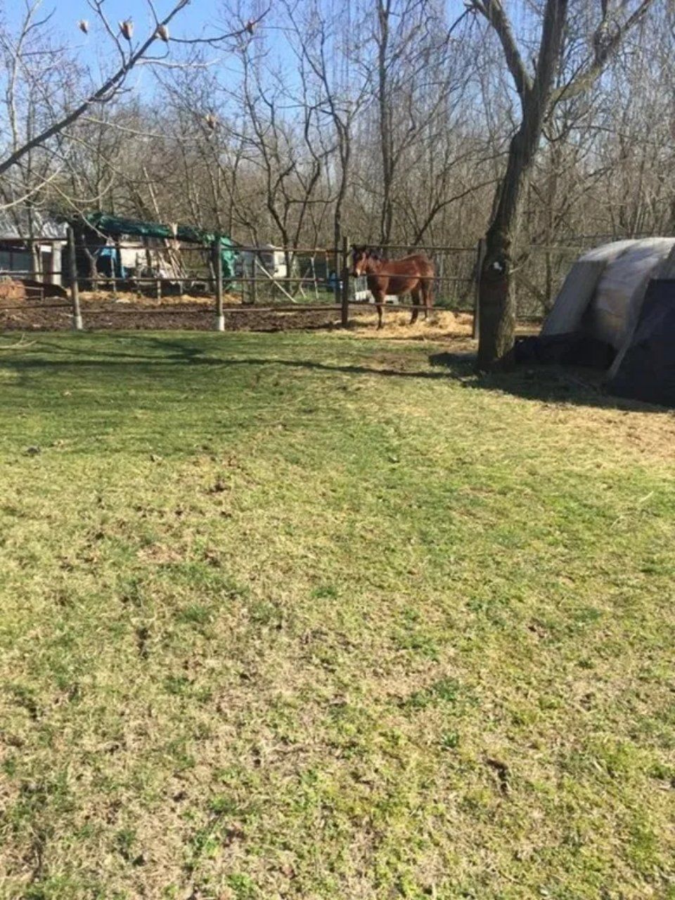 prato della casa di riposo