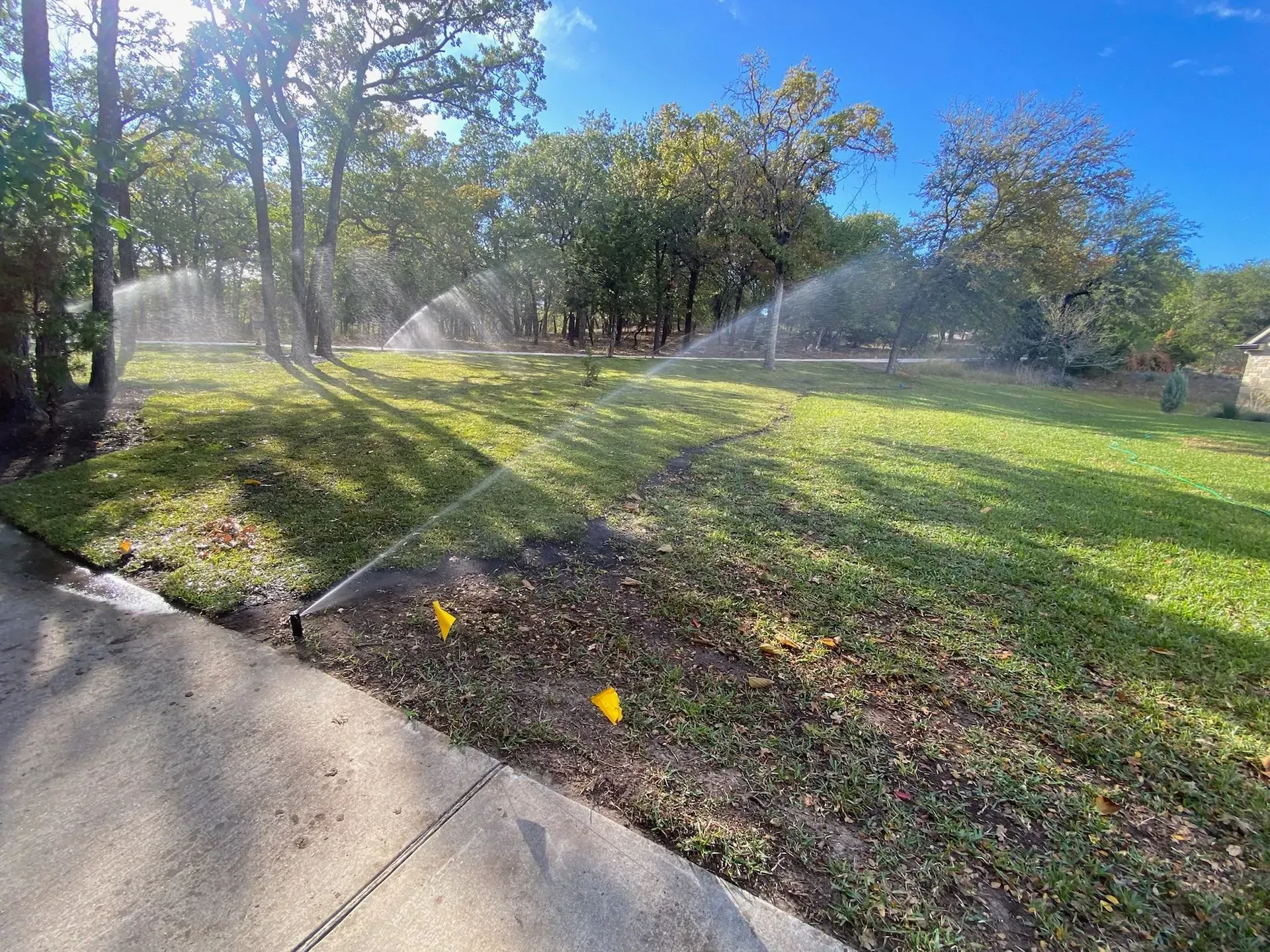 Sprinklers watering a sunny grassy park beside a sidewalk and trees