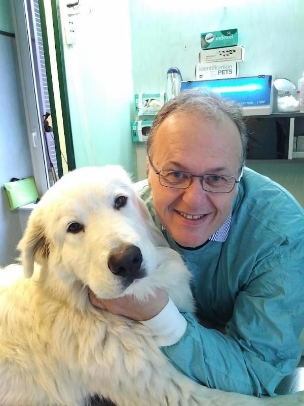 Una veterinaria in camice azzurro sorride mentre tiene in braccio un grosso cane bianco e soffice in una clinica.