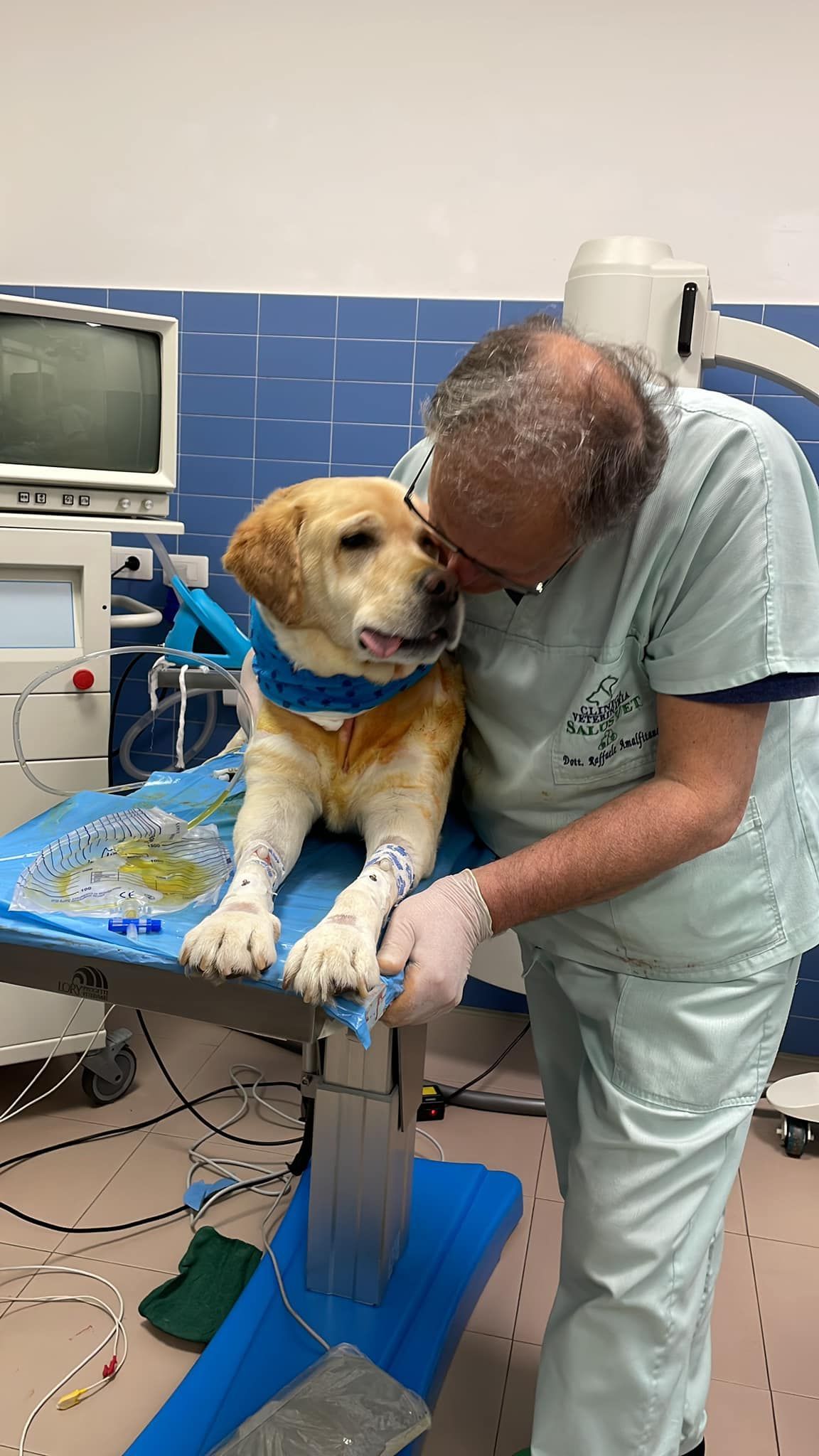 Un veterinario in camice rassicura un cane giallo sdraiato su un tavolo da visita in una clinica veterinaria.