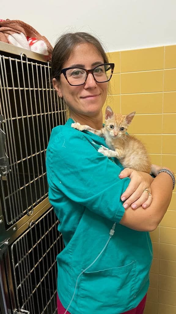 Un professionista in camice color verde acqua tiene in braccio un piccolo gattino arancione vicino a una gabbia metallica per animali.