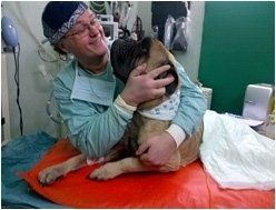 Medico veterinario con cane