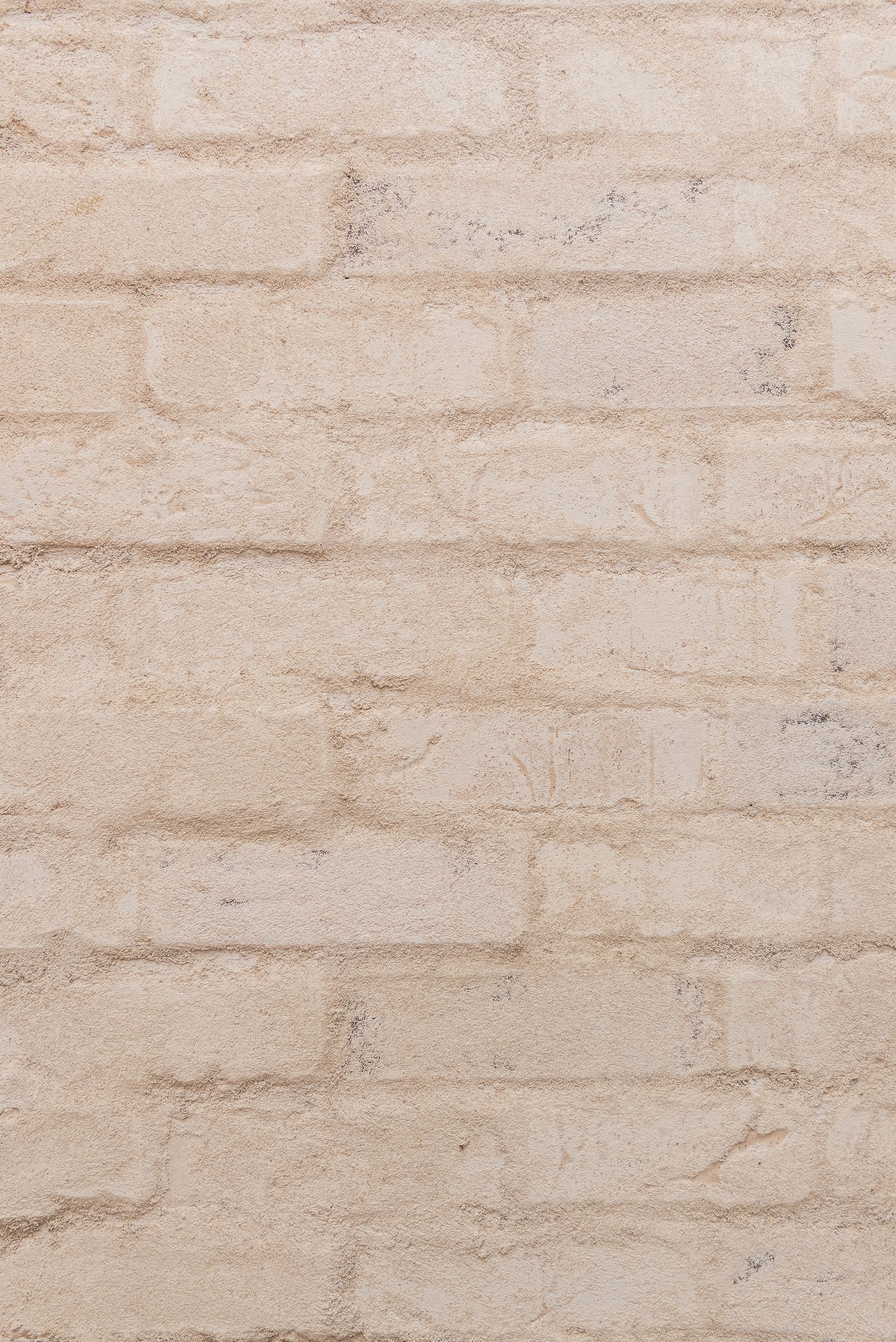 Signature Homes | 2020 Parade Home | Brick Details