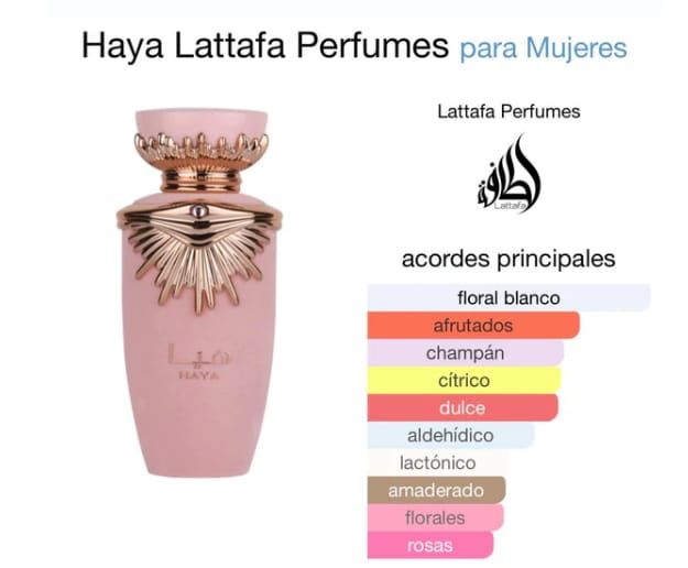 Haya Lattaffa