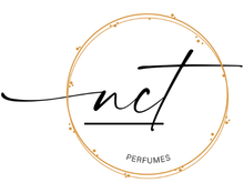 Importaciones NCT   logo