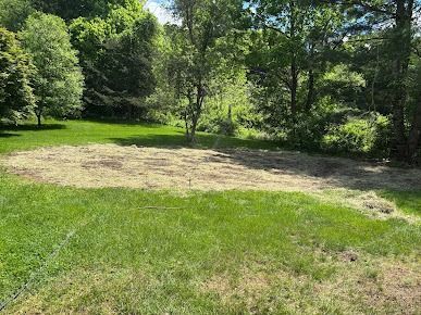 A cleared area of brown earth surrounded by green grass, trees, and lush greenery.