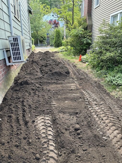 A dirt path between two buildings, showing tire tracks.