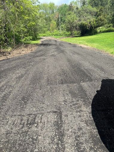 Gravel road with tire tracks through a grassy area with trees and greenery.