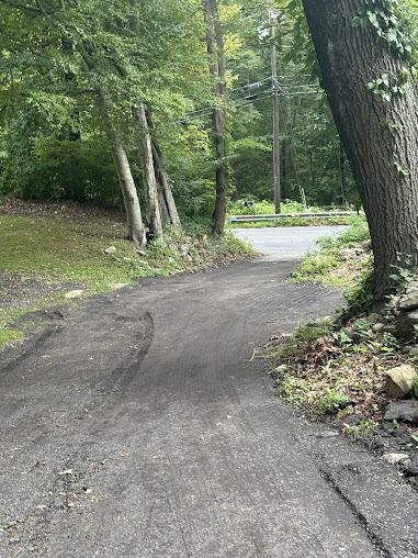 Asphalt road winding through a forest, with trees lining both sides.