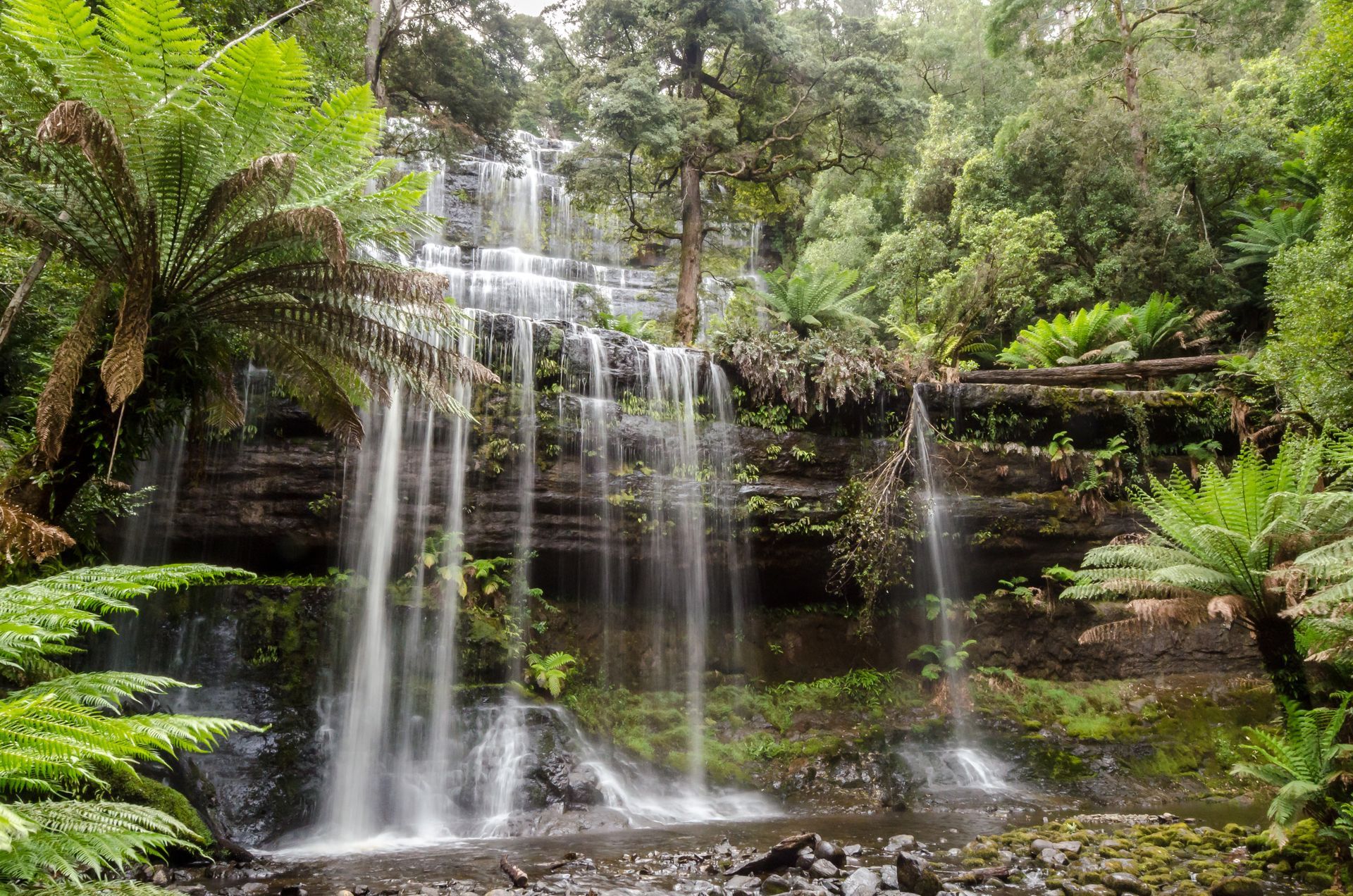 A multi-tiered waterfall cascades over dark, mossy rock ledges surrounded by lush, vibrant green ferns and forest trees.