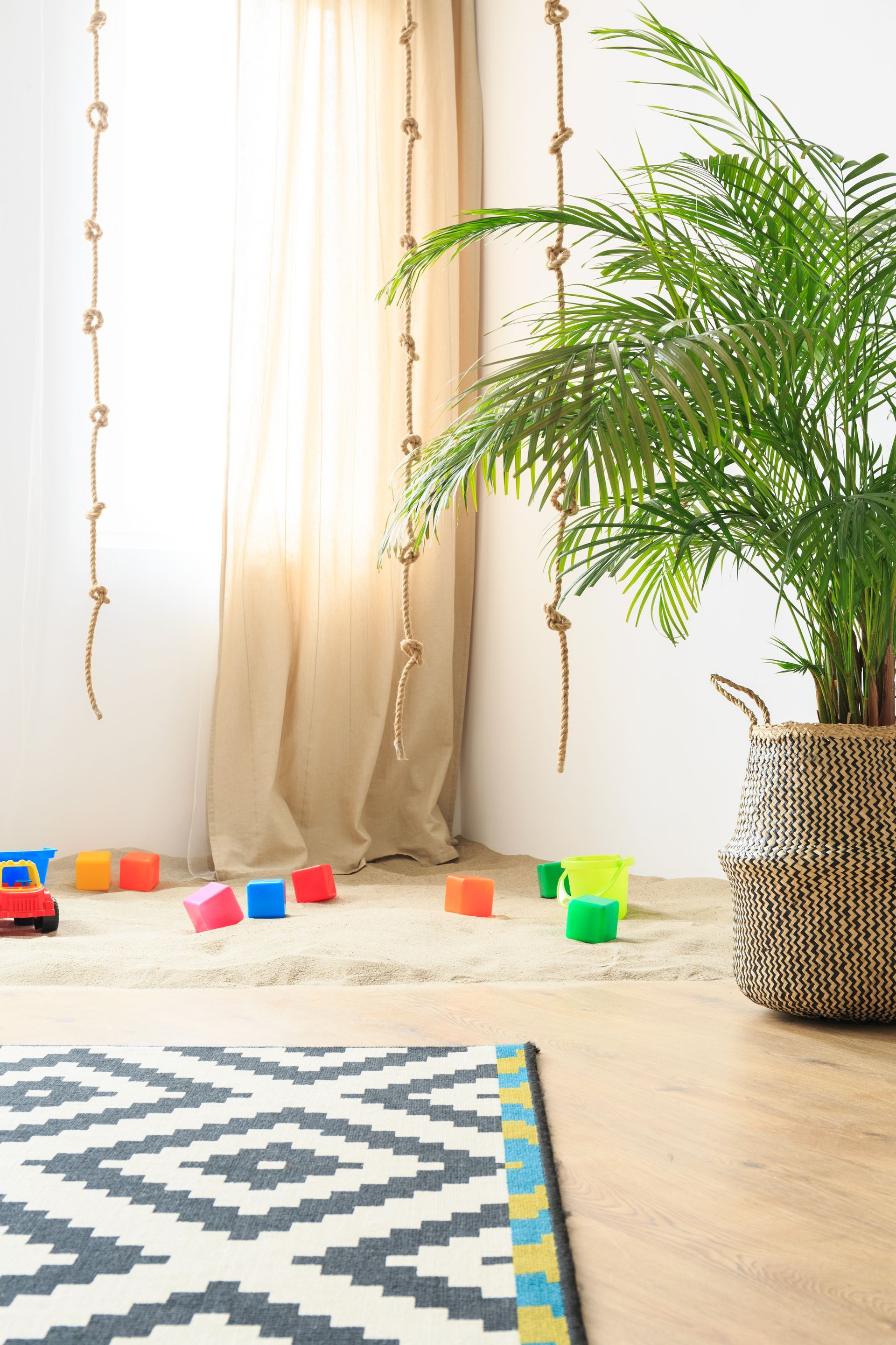 A room with a plant , a rug , and toys on the floor.