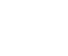 skilled worker icon