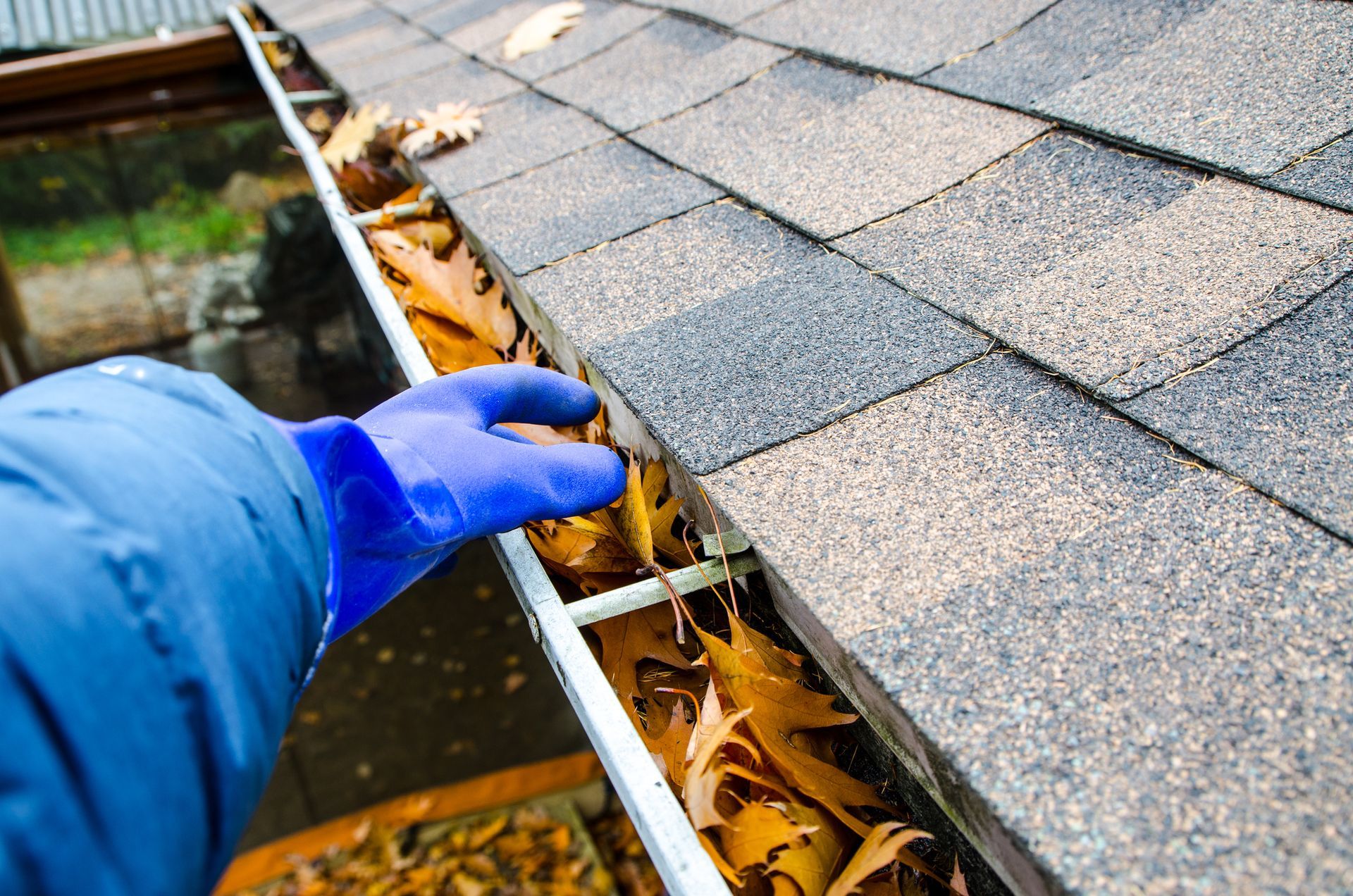 A Person Wearing Blue Gloves Is Cleaning a Gutter on A Roof | Detroit, MI | Yellow Rose Builders