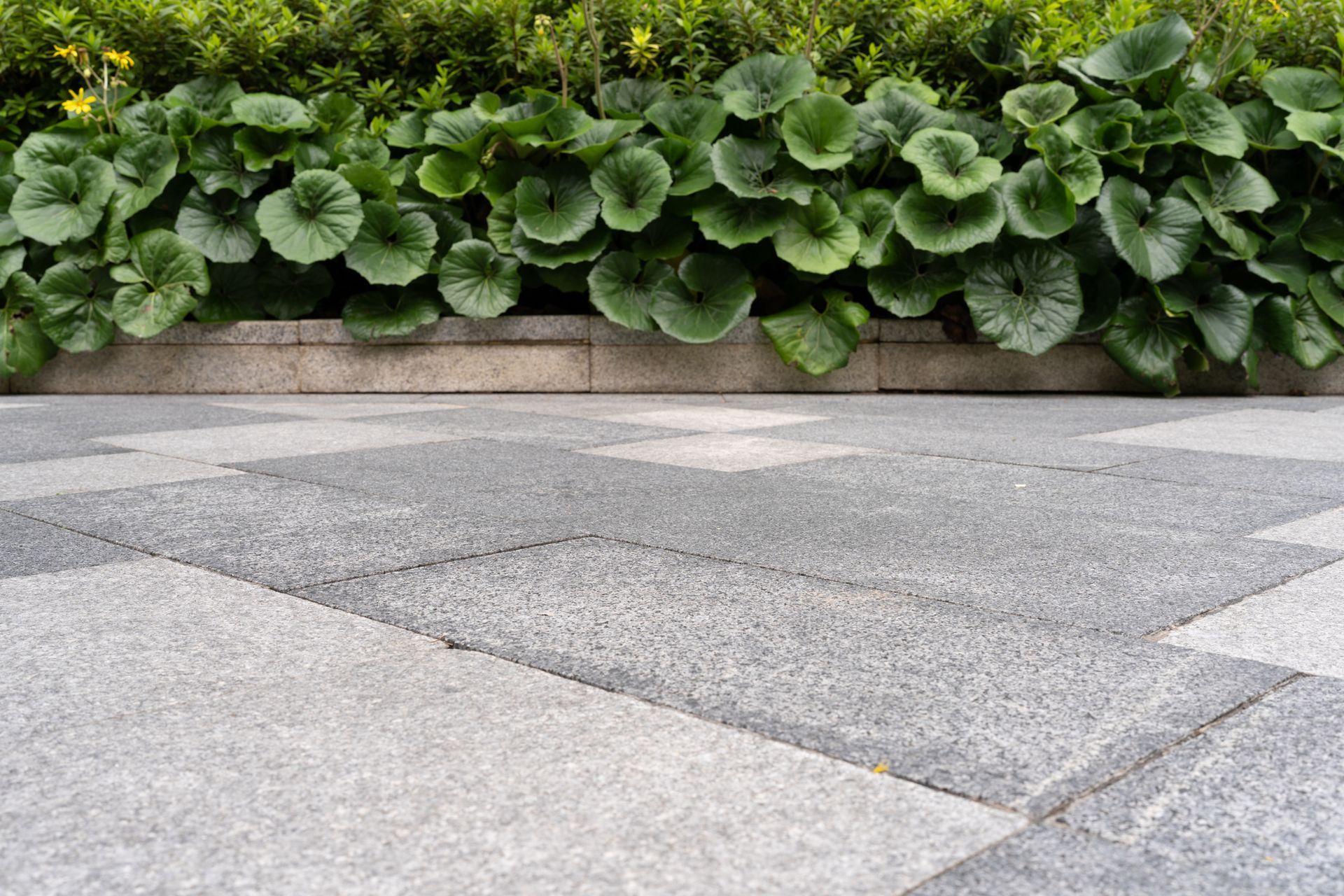 Gray and white stone pavers border lush green foliage.