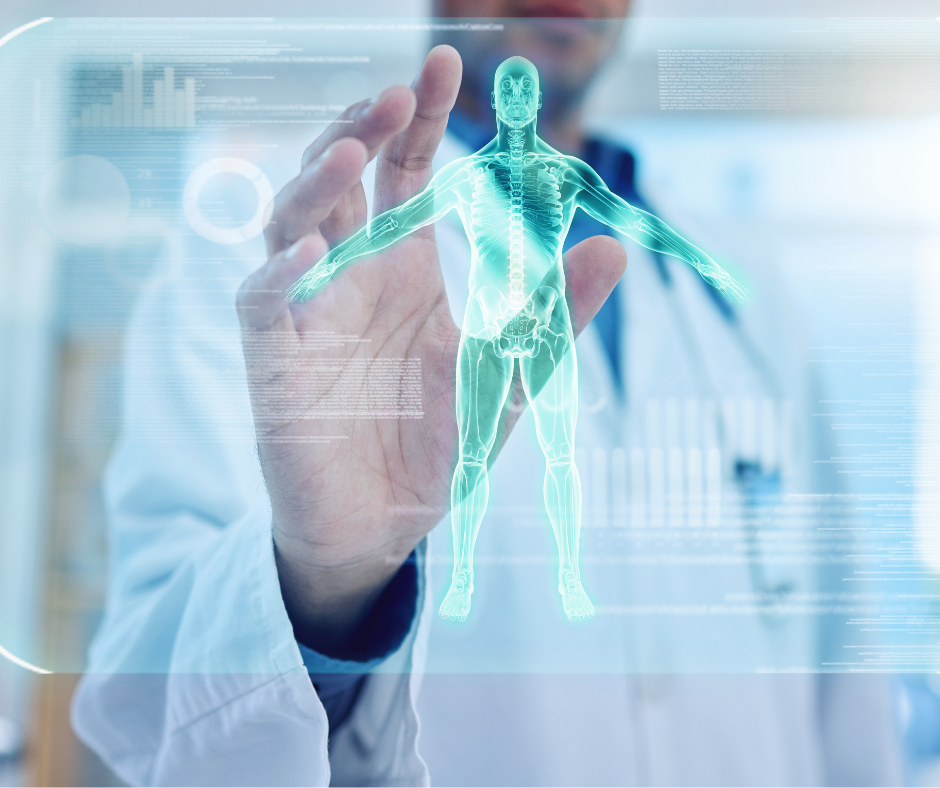 A doctor is holding a 3d model of a human body.