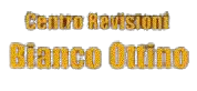 Centro Revisioni Bianco Ottino - logo