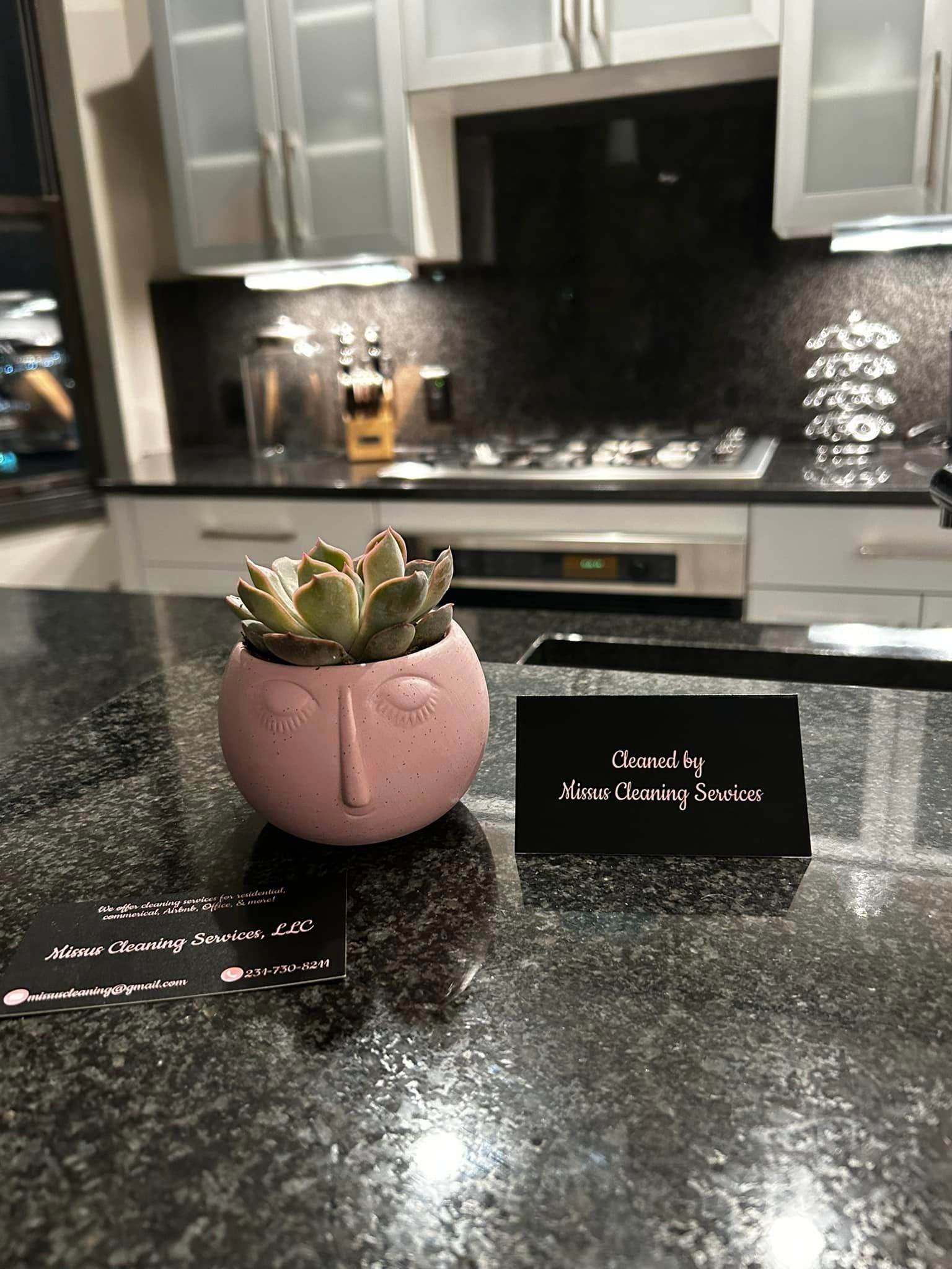 A pink potted plant is sitting on a kitchen counter.