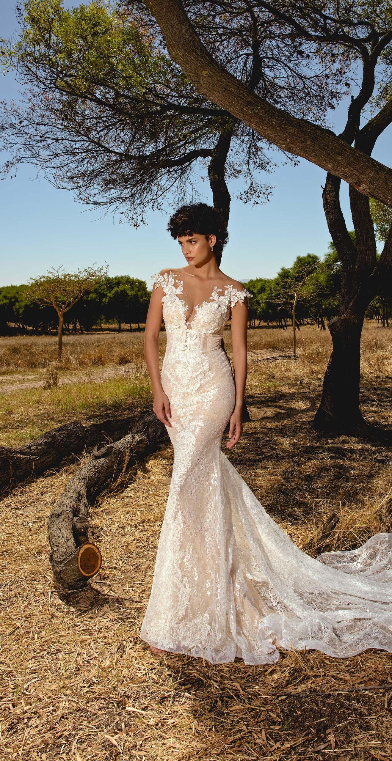 A woman in a wedding dress is standing under a tree in a field.