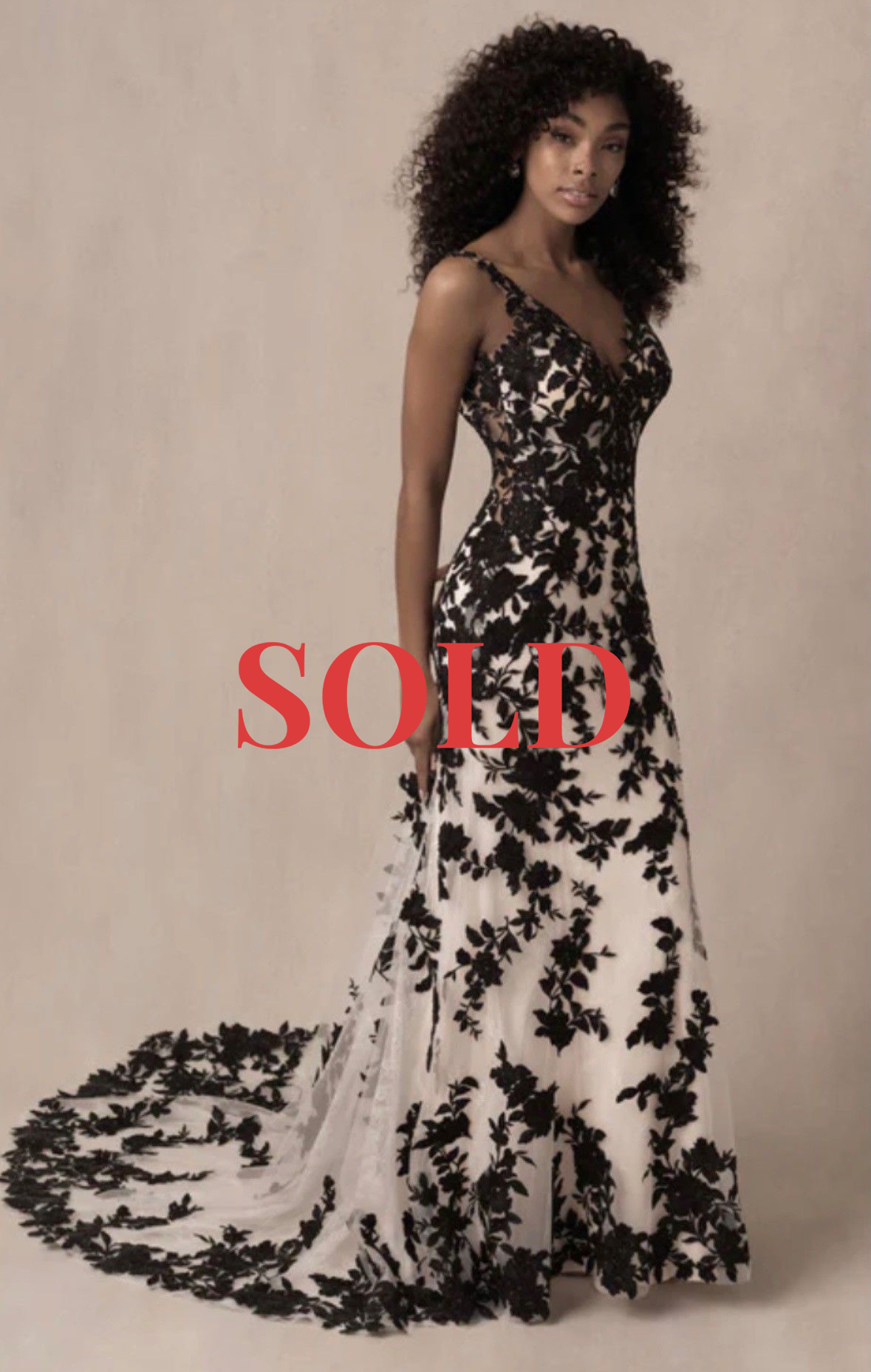 A full-length, A-line gown with black floral lace overlays on a cream background, featuring a V-neckline and a long train.
